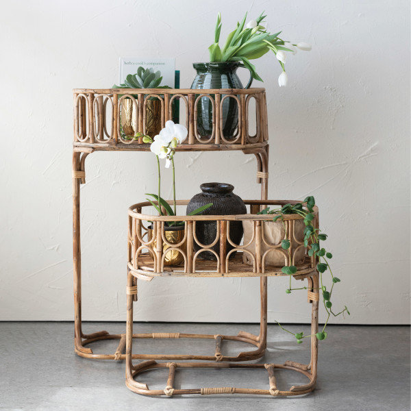 Rattan plant popular stand